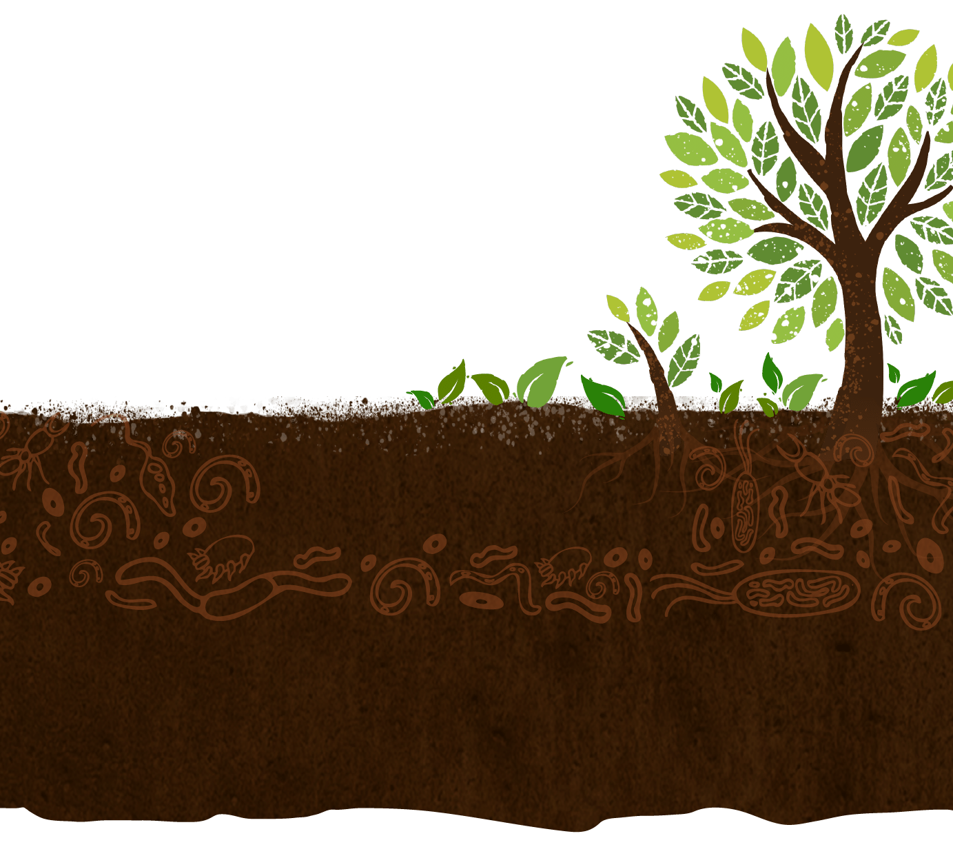 Living-Soil-Banner