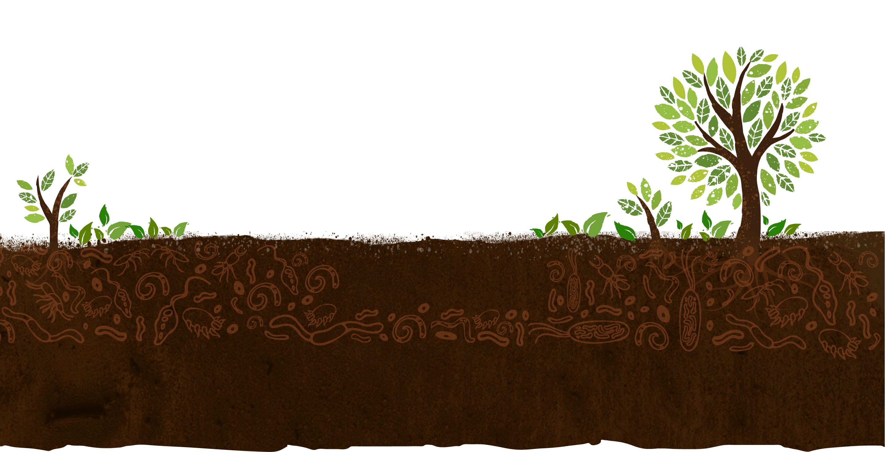Living-Soil-Banner